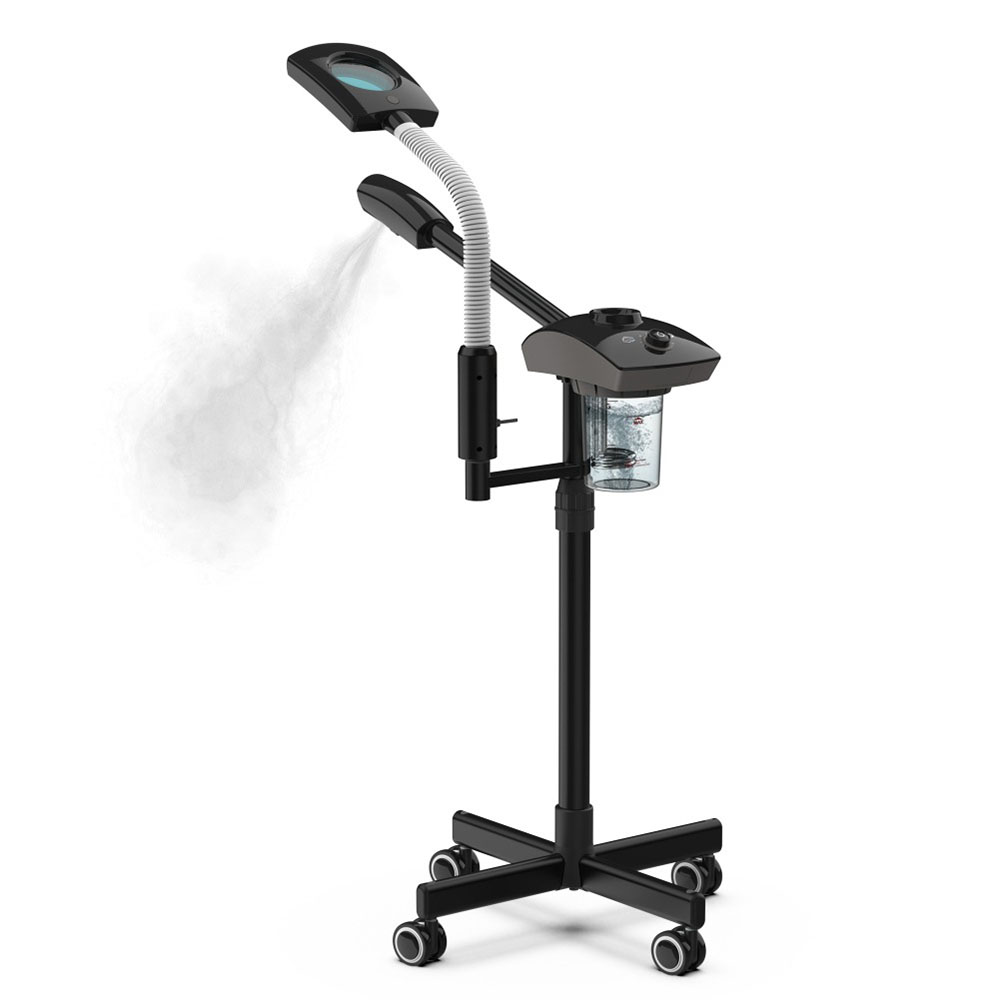 Hot Facial Steamer Warm Mist H - Face Steamer 评论和价格